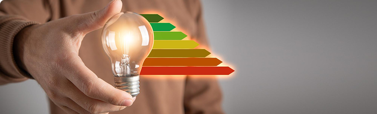 Energy Efficiency