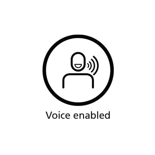 Voice control features